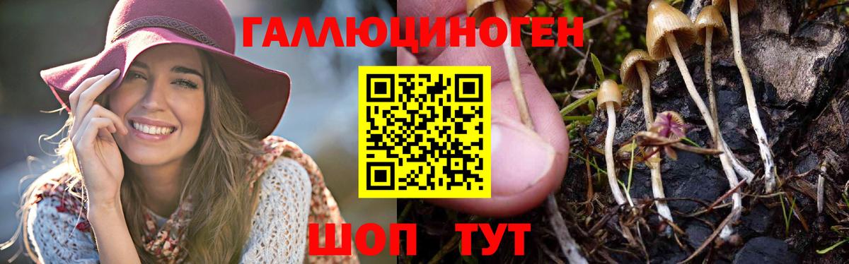 Печора  Псилоцибиновые грибы GOLDEN TEACHER  продажа наркотиков  Вход с VPN 